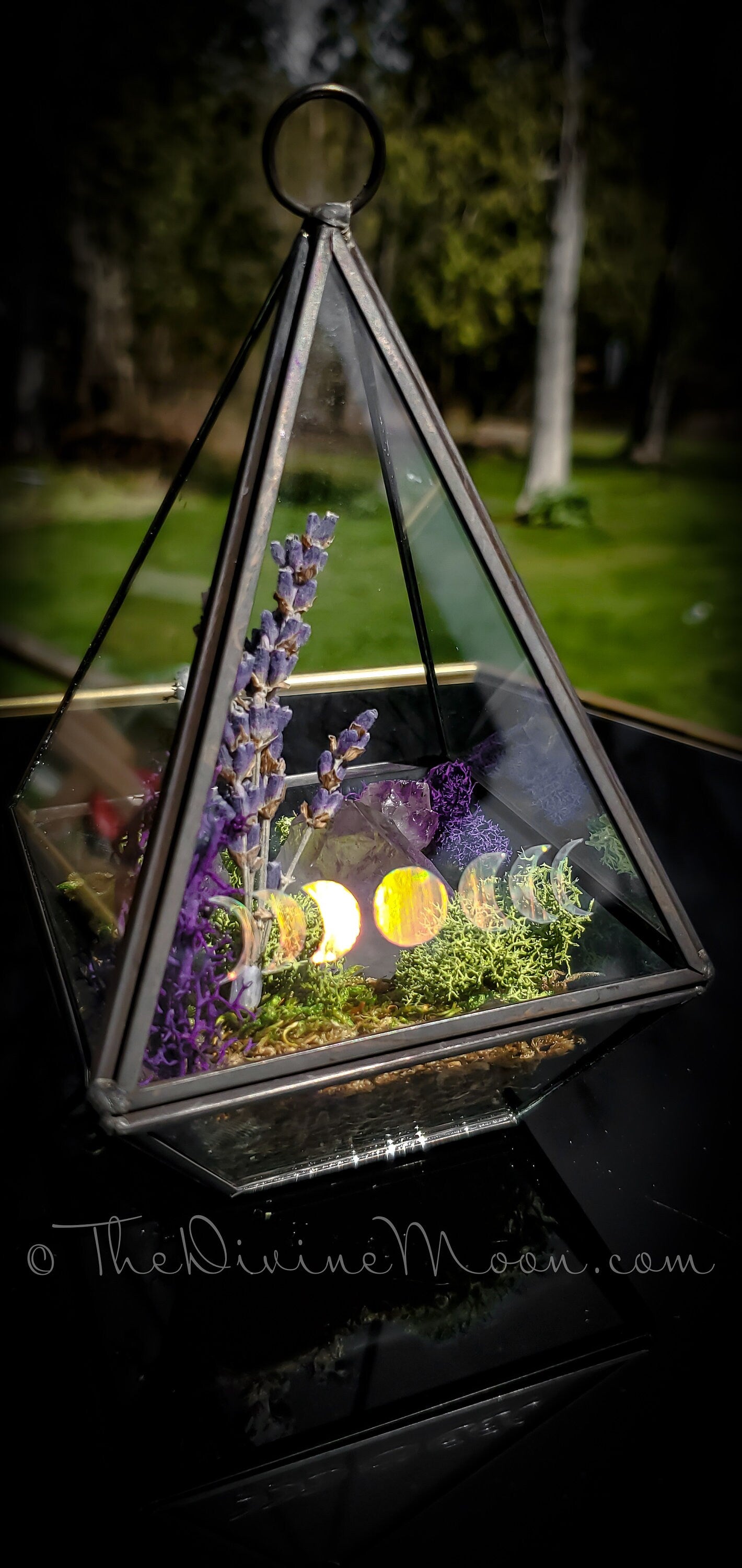 Moon Crystal Garden – Amethyst Terrarium Decor – Hanging or Standing Glass Display – Moss & Stone Arrangement – Nature-Inspired Gift