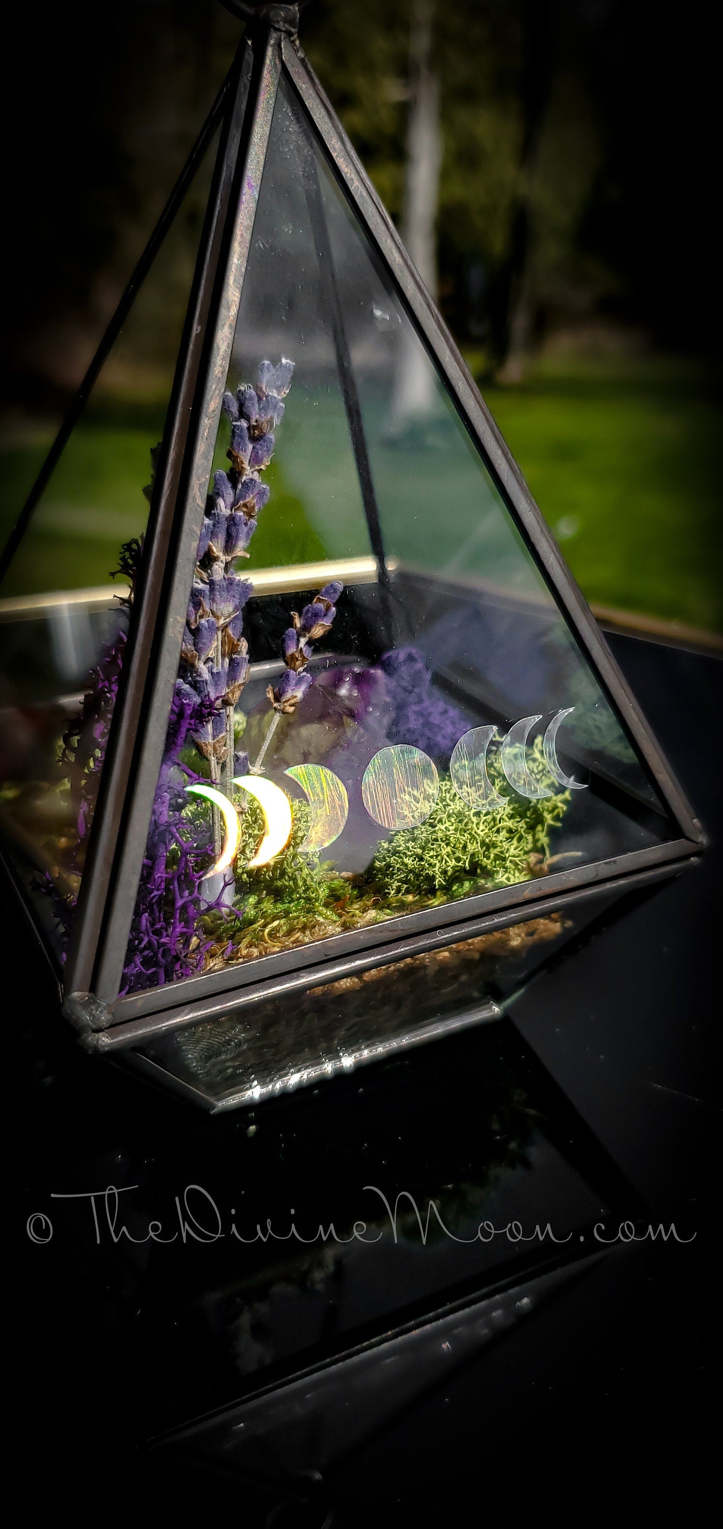 Moon Crystal Garden – Amethyst Terrarium Decor – Hanging or Standing Glass Display – Moss & Stone Arrangement – Nature-Inspired Gift