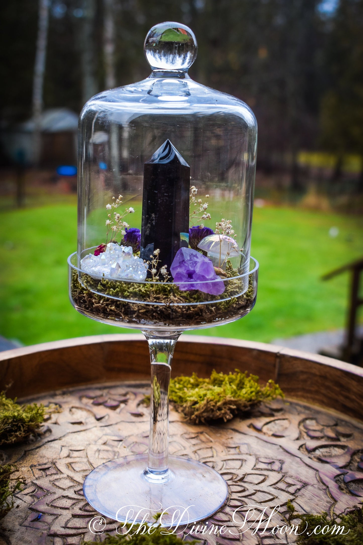 Obsidian Crystal Cloche – Glass Pedestal Garden – Element-Inspired Display – Crystal Decor – Gift for Home
