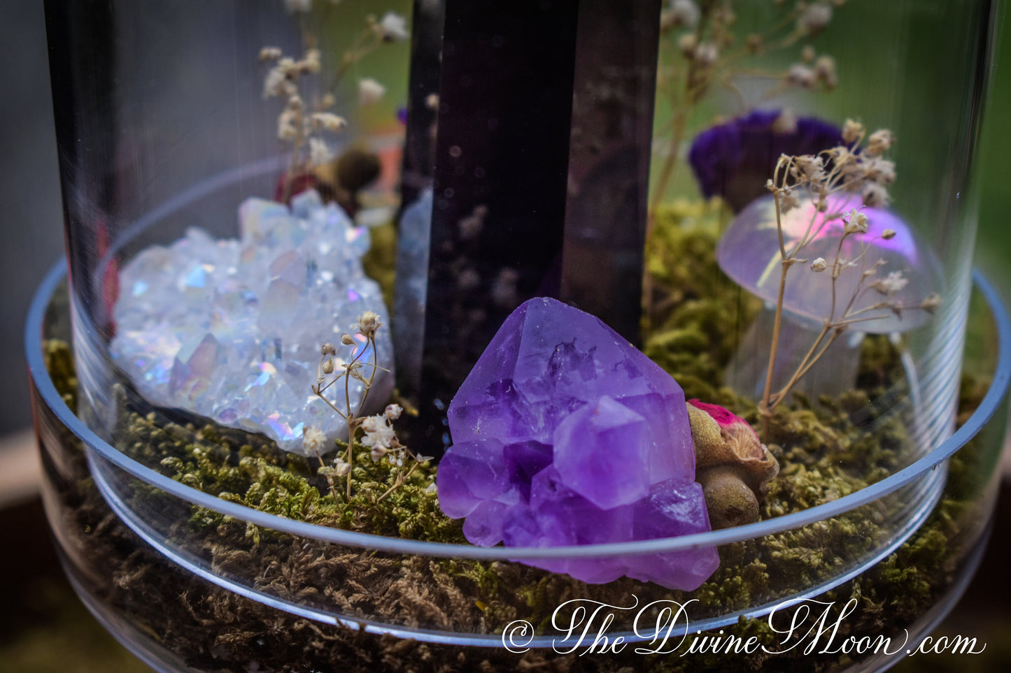 Obsidian Crystal Cloche – Glass Pedestal Garden – Element-Inspired Display – Crystal Decor – Gift for Home