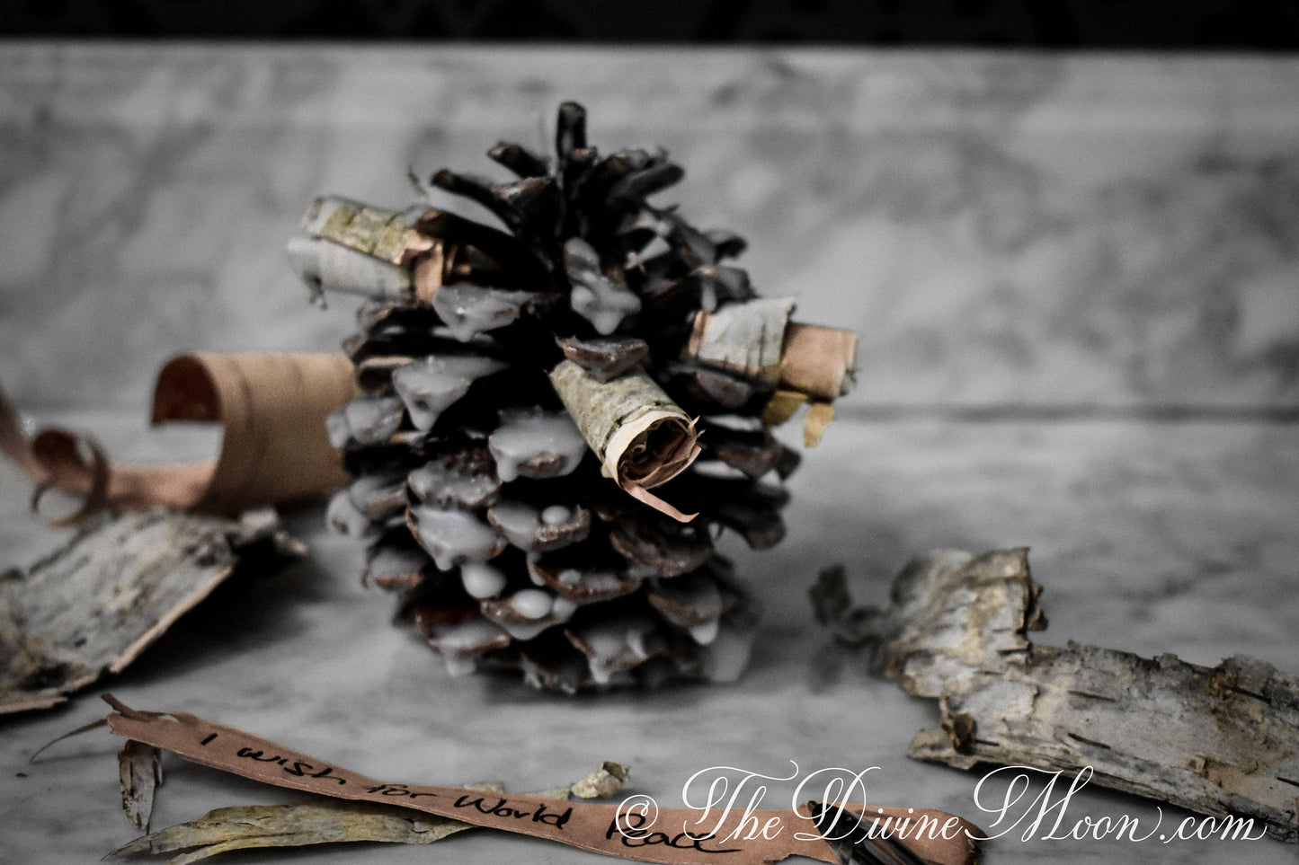 Wishing Cone - Wish Manifests - Warding Cone - Pinecone Ritual for Solstice - Solstice Wish - Burning Ritual