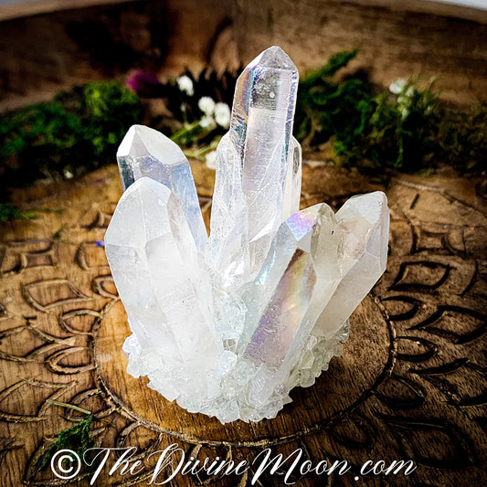 Large Quartz Crystal Cluster Flower - Top Quality Crystals - Brazilian Quartz - Aura Quartz