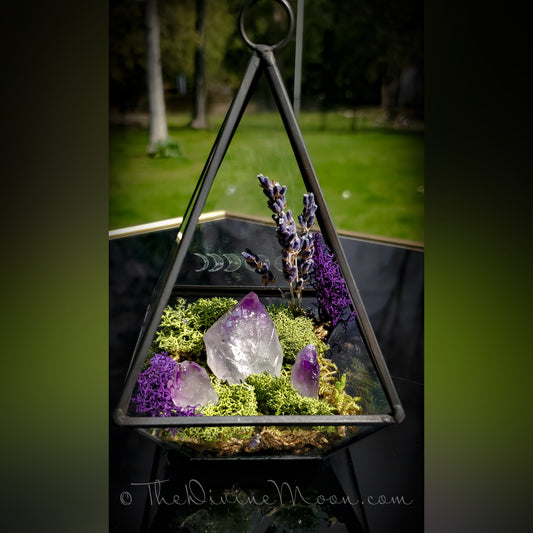 Moon Crystal Garden – Amethyst Terrarium Decor – Hanging or Standing Glass Display – Moss & Stone Arrangement – Nature-Inspired Gift