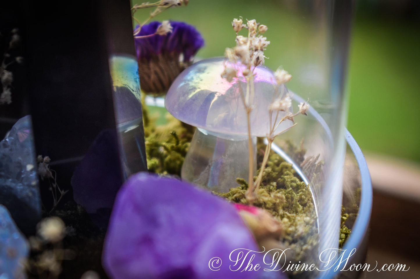 Obsidian Crystal Cloche – Glass Pedestal Garden – Element-Inspired Display – Crystal Decor – Gift for Home